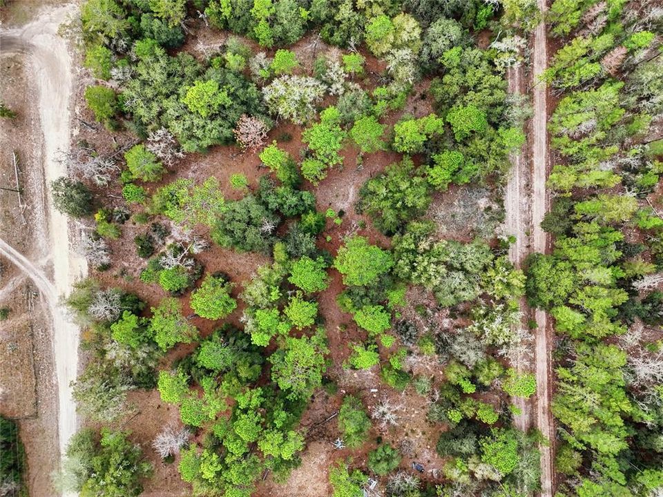 En Venta: $34,900 (1.10 acres)