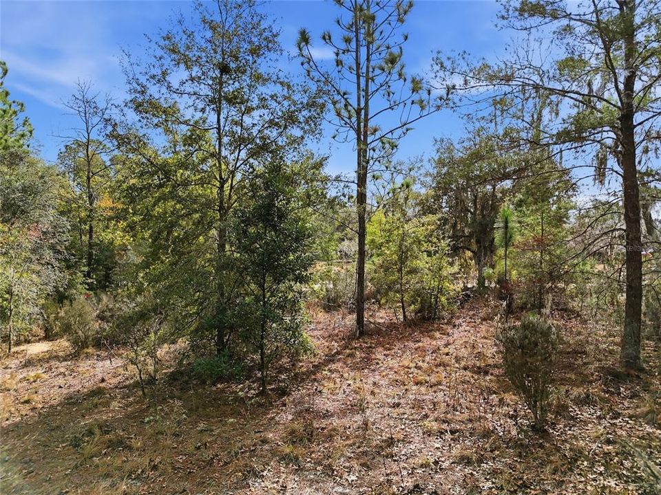 En Venta: $34,900 (1.10 acres)