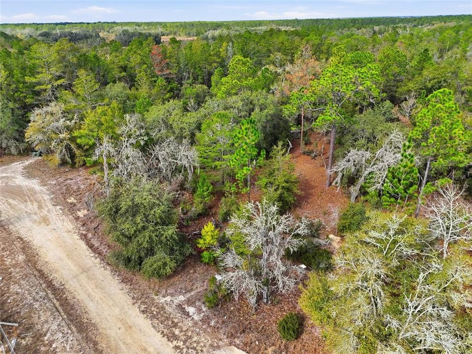 En Venta: $34,900 (1.10 acres)