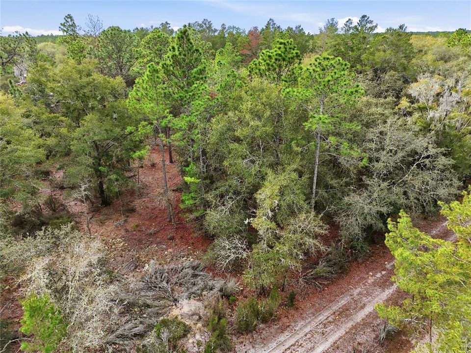 En Venta: $34,900 (1.10 acres)