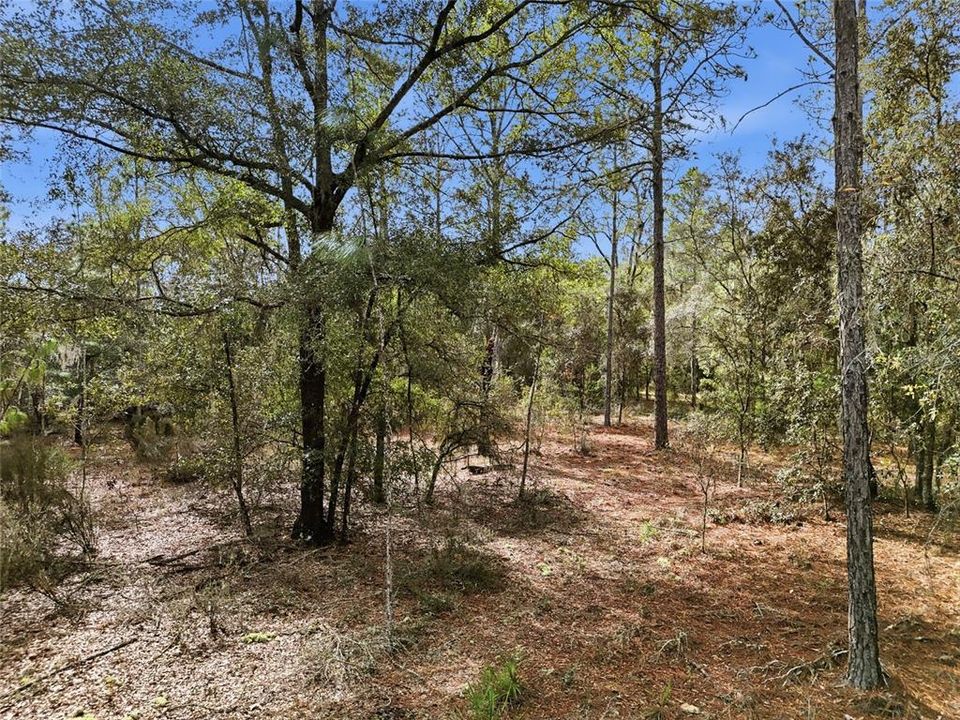 En Venta: $34,900 (1.10 acres)