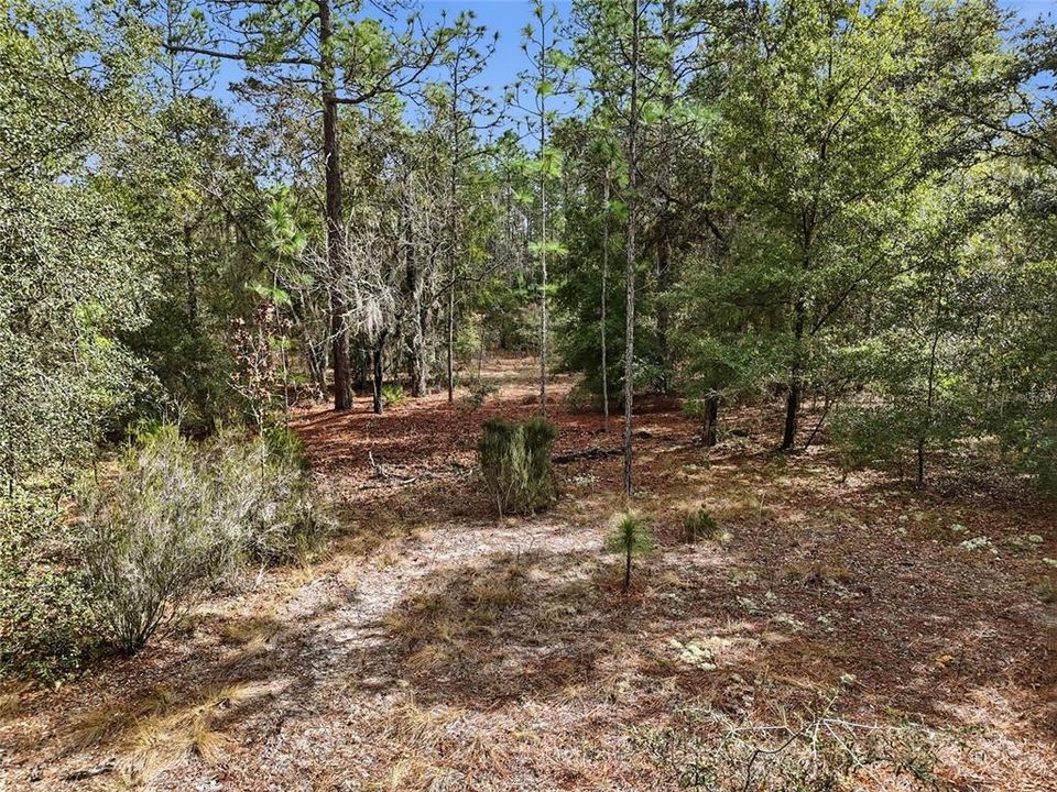 En Venta: $34,900 (1.10 acres)