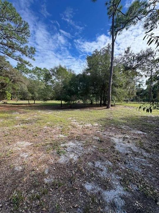En Venta: $85,000 (1.25 acres)