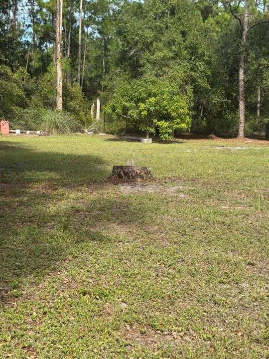 En Venta: $85,000 (1.25 acres)