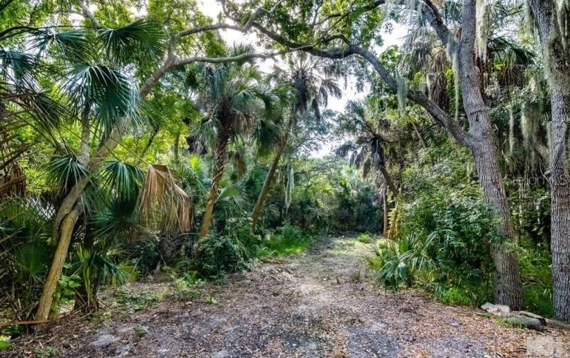 En Venta: $1,500,000 (1.29 acres)