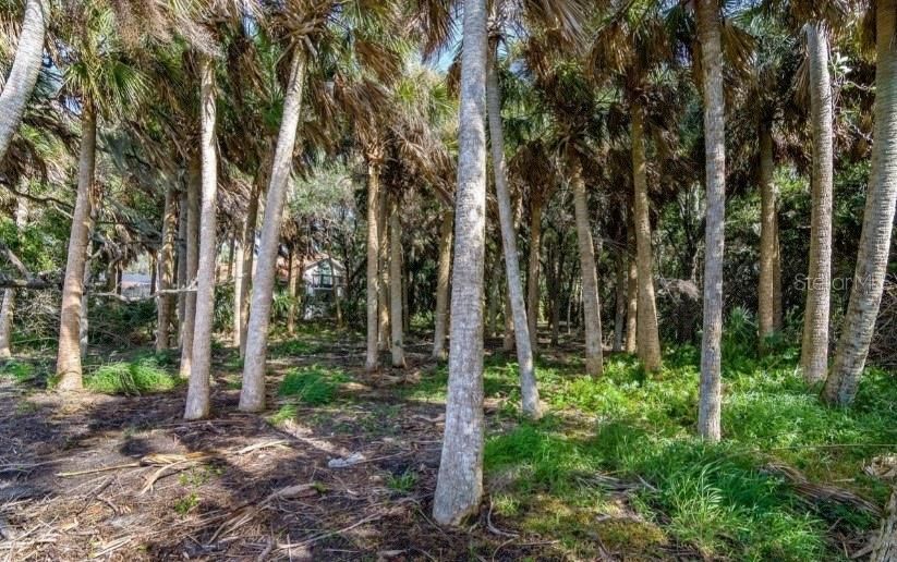 En Venta: $1,500,000 (1.29 acres)