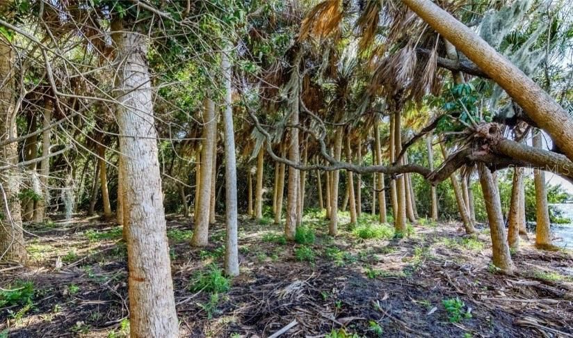 En Venta: $1,500,000 (1.29 acres)