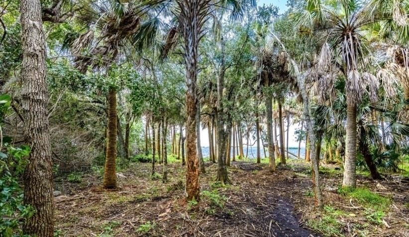 En Venta: $1,500,000 (1.29 acres)