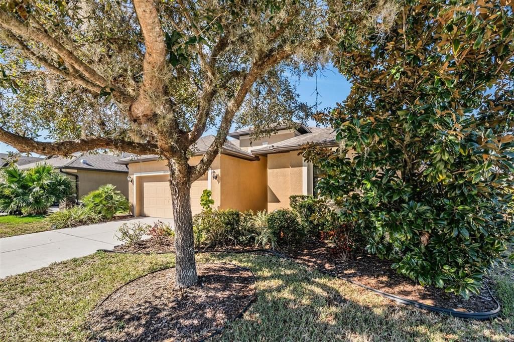 Active With Contract: $350,000 (3 beds, 2 baths, 1702 Square Feet)