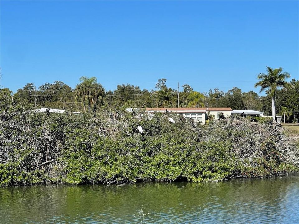 En Venta: $95,000 (0.21 acres)