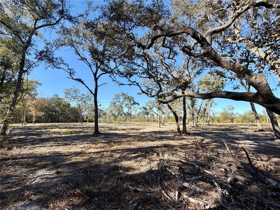 Vendido Recientemente: $68,000 (1.77 acres)