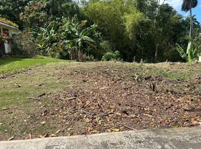 待售: $140,000 (0.21 acres)