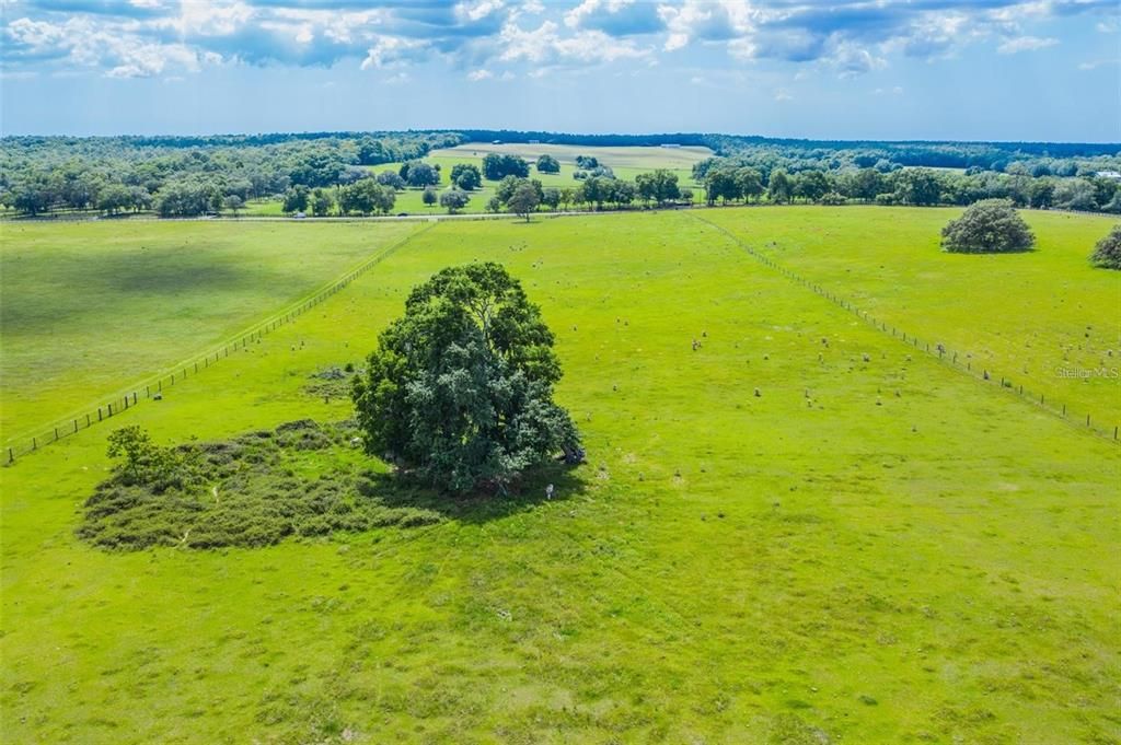 For Sale: $345,000 (10.00 acres)