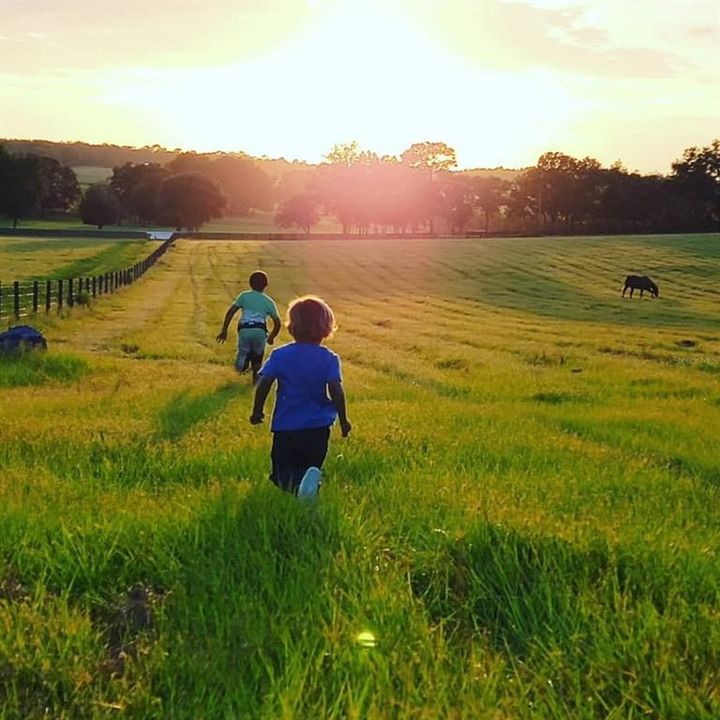 For Sale: $345,000 (10.00 acres)