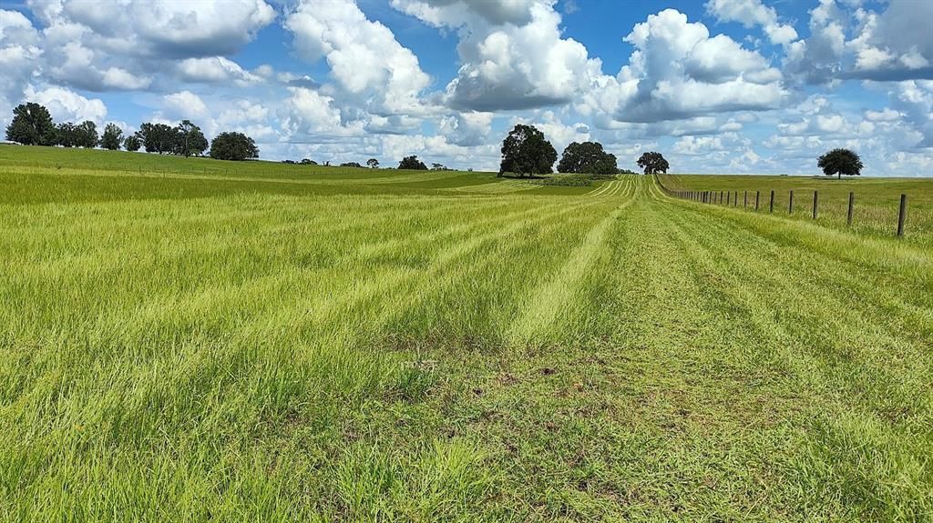 For Sale: $345,000 (10.00 acres)