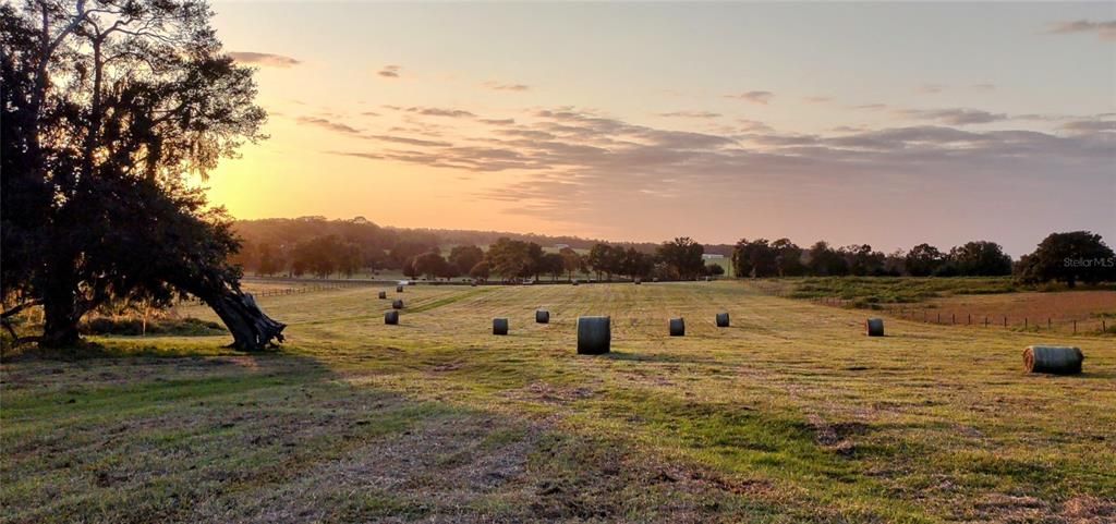 For Sale: $345,000 (10.00 acres)
