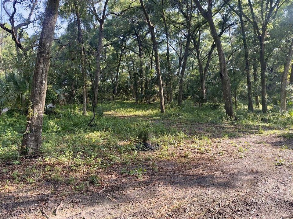 En Venta: $135,000 (1.25 acres)