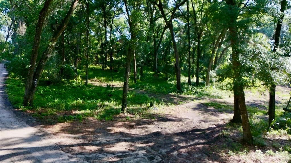 En Venta: $135,000 (1.25 acres)