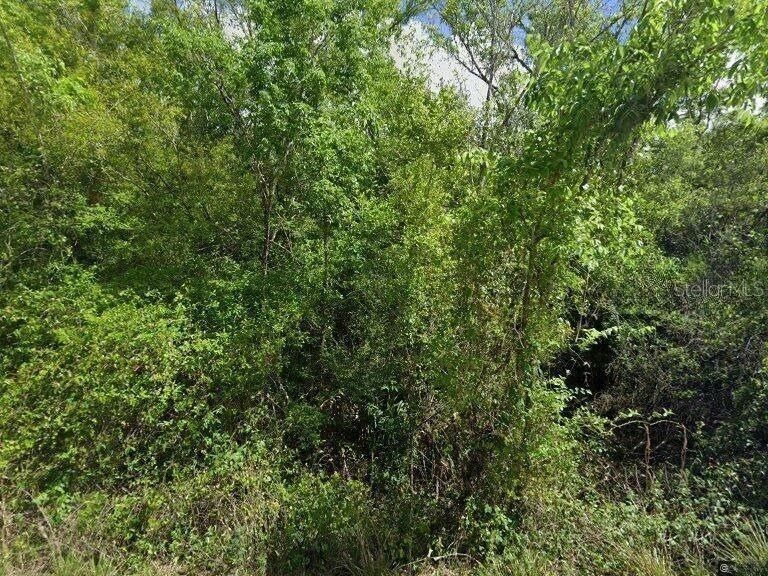 For Sale: $135,000 (5.00 acres)