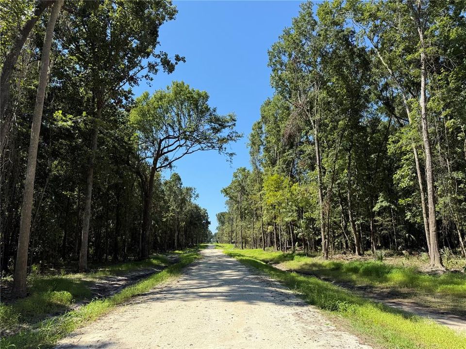 待售: $239,900 (10.03 acres)