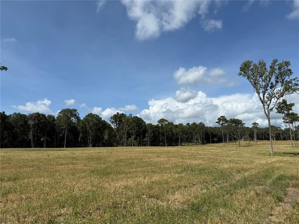 待售: $239,900 (10.03 acres)