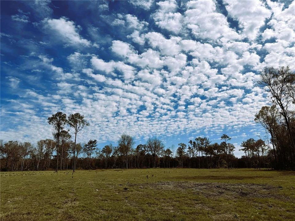待售: $239,900 (10.03 acres)
