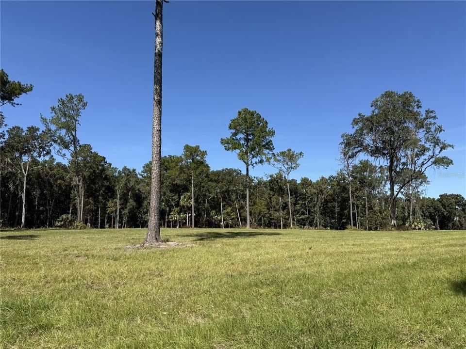 待售: $239,900 (10.03 acres)