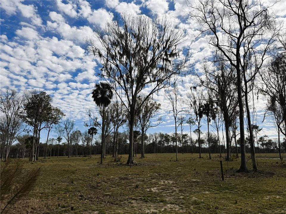 待售: $239,900 (10.03 acres)