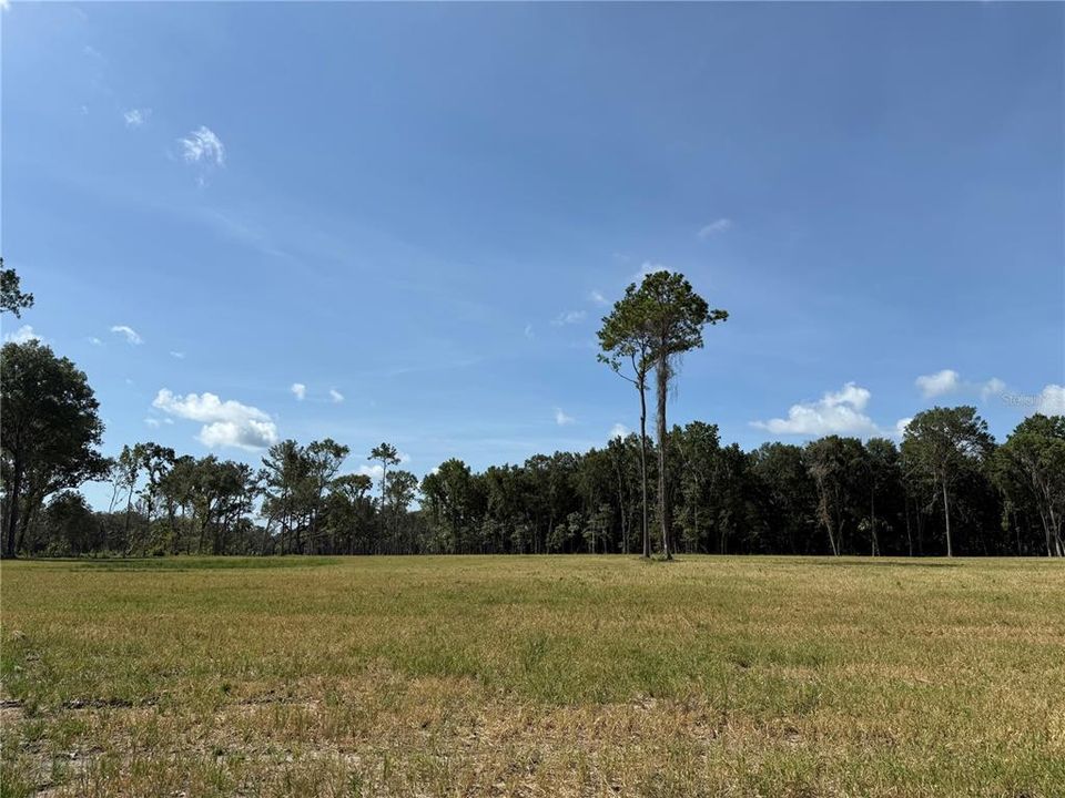待售: $239,900 (10.03 acres)