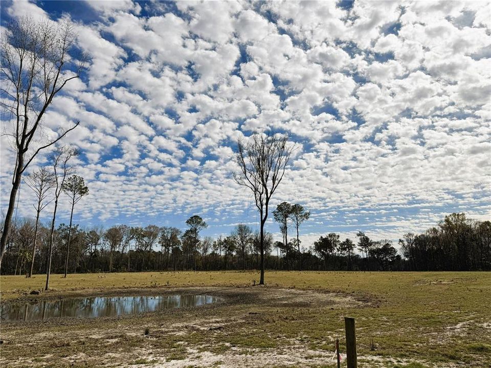 待售: $239,900 (10.03 acres)
