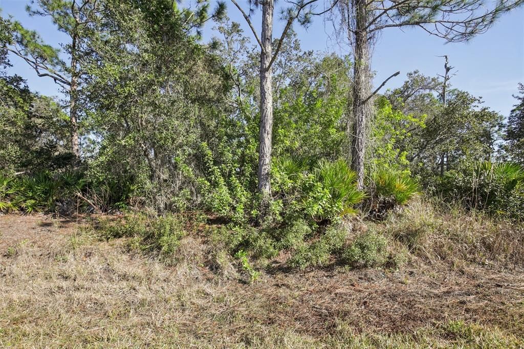 待售: $30,000 (0.23 acres)