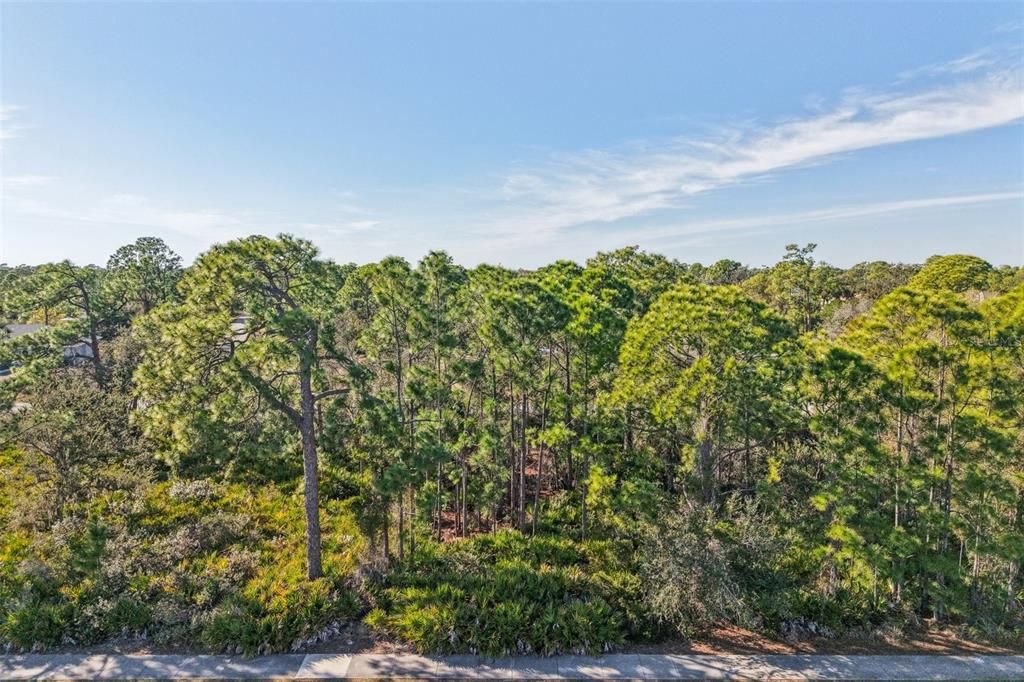 待售: $30,000 (0.23 acres)