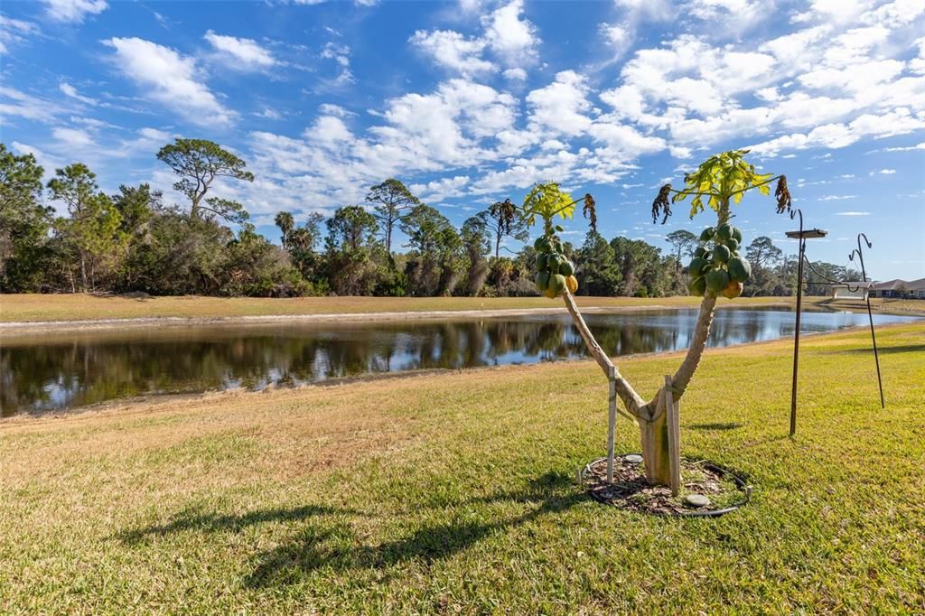 Active With Contract: $775,000 (4 beds, 2 baths, 2343 Square Feet)