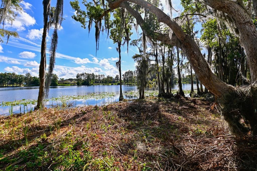 На продажу: $2,250,000 (5.09 acres)