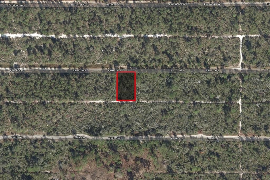 For Sale: $5,900 (0.23 acres)