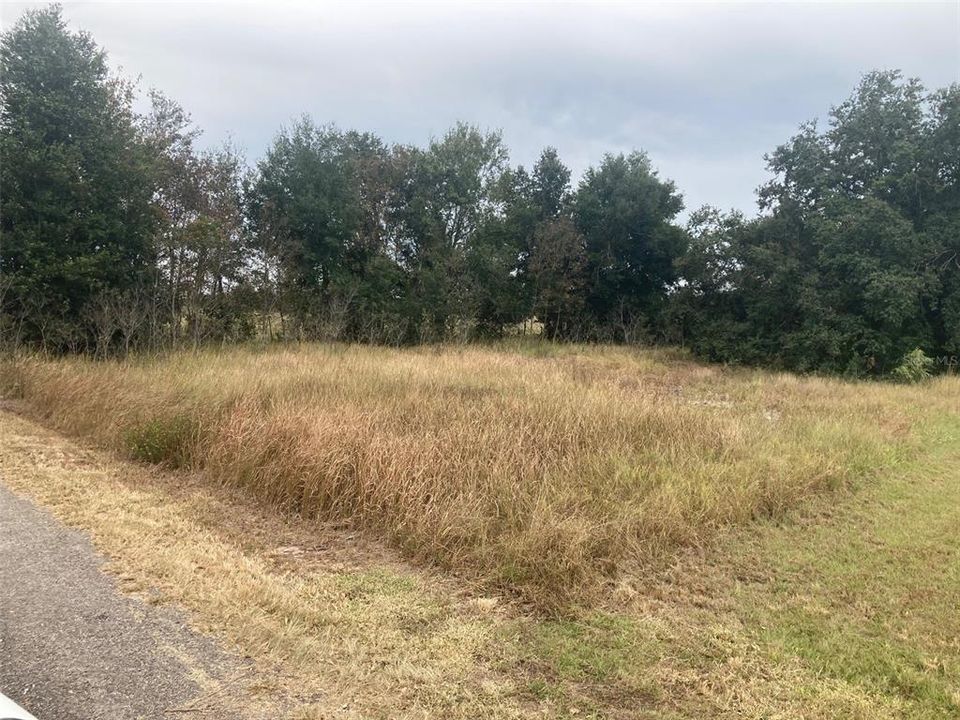 Vendido Recientemente: $59,900 (0.78 acres)