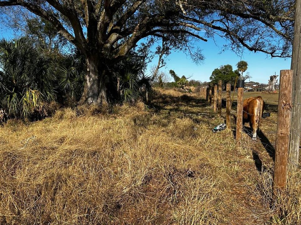 На продажу: $425,000 (3 спален, 2 ванн, 1212 Квадратных фут)