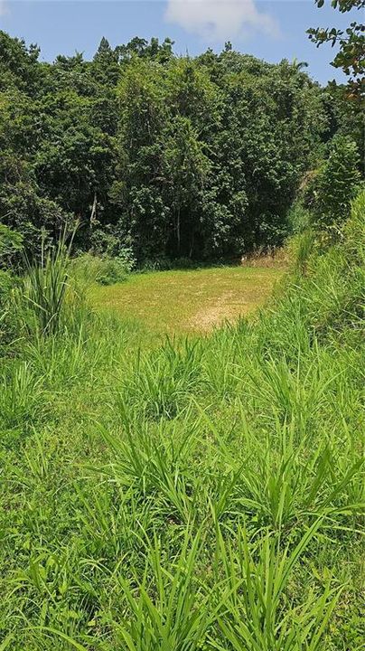 For Sale: $55,000 (1.70 acres)
