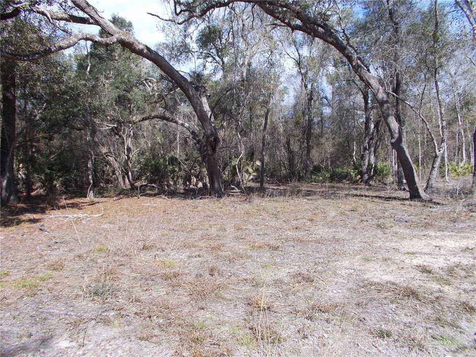 For Sale: $50,000 (1.83 acres)