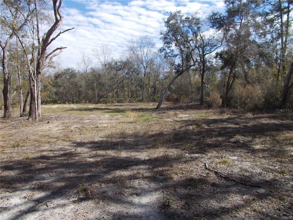 For Sale: $50,000 (1.83 acres)
