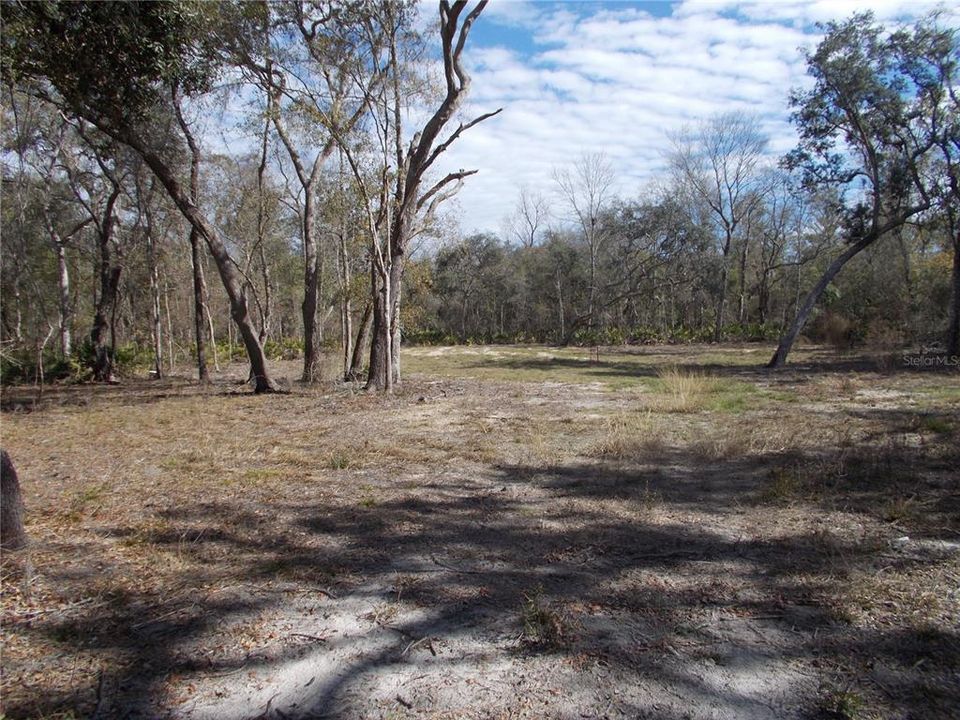 For Sale: $50,000 (1.83 acres)