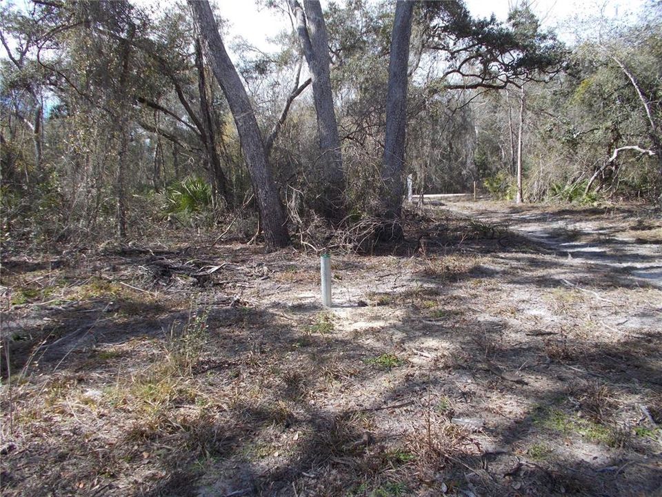 For Sale: $50,000 (1.83 acres)