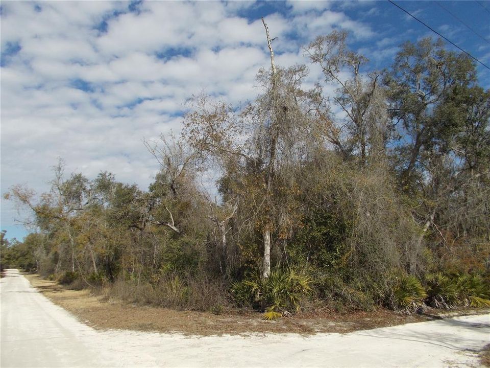 For Sale: $50,000 (1.83 acres)