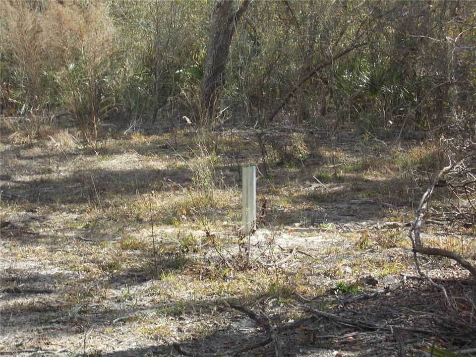 For Sale: $50,000 (1.83 acres)