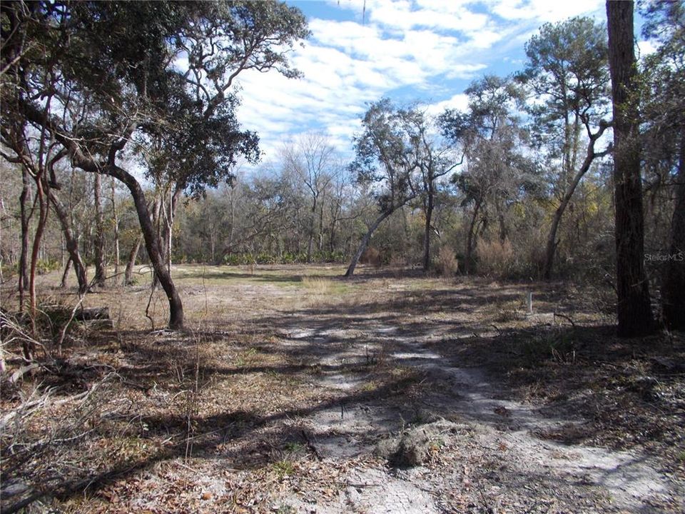 For Sale: $50,000 (1.83 acres)