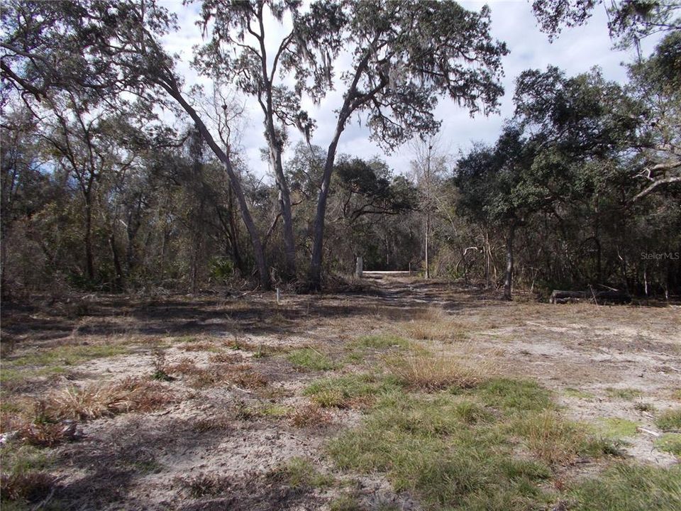 For Sale: $50,000 (1.83 acres)