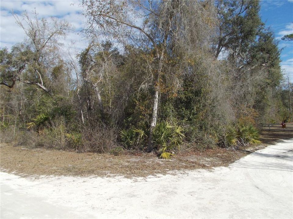 For Sale: $50,000 (1.83 acres)