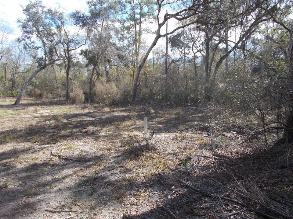 For Sale: $50,000 (1.83 acres)