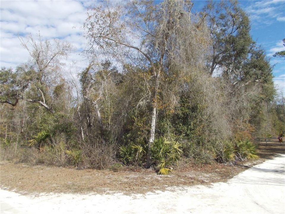 For Sale: $50,000 (1.83 acres)