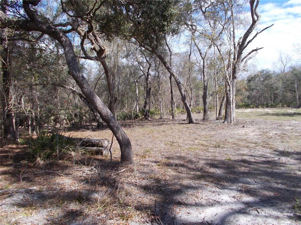 For Sale: $50,000 (1.83 acres)